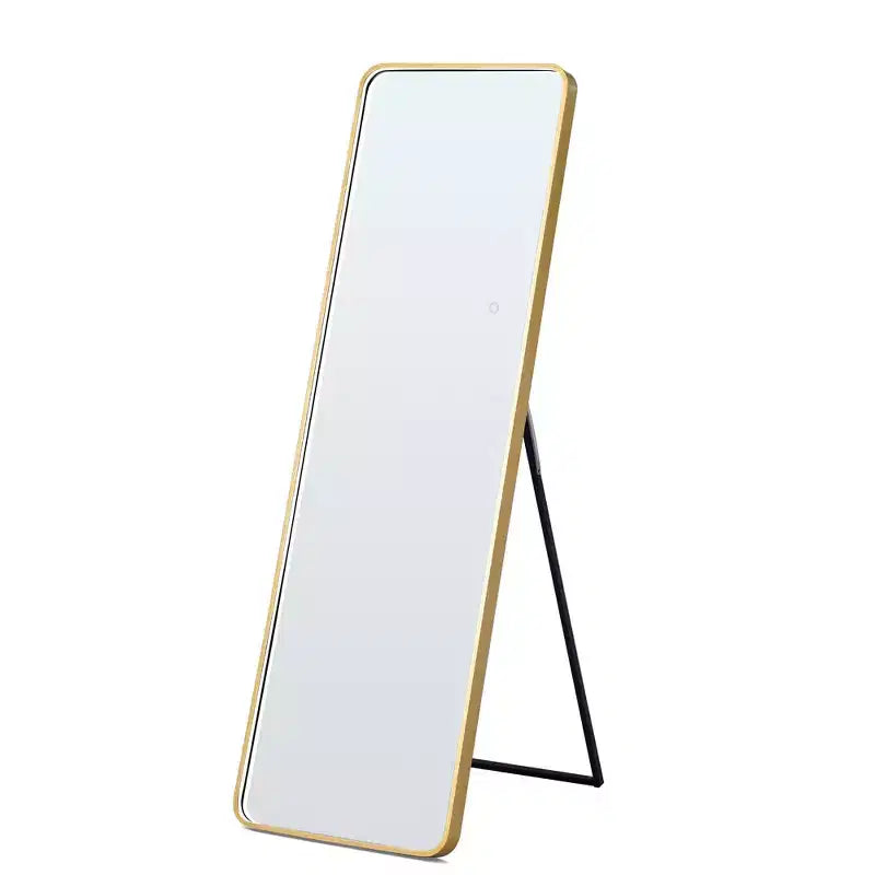 Miroir sur pied moderne 64*17in à coins arrondis, Miroir pleine longueur multifonctionnel avec trou de suspension, Miroir mural pour dressing, salon