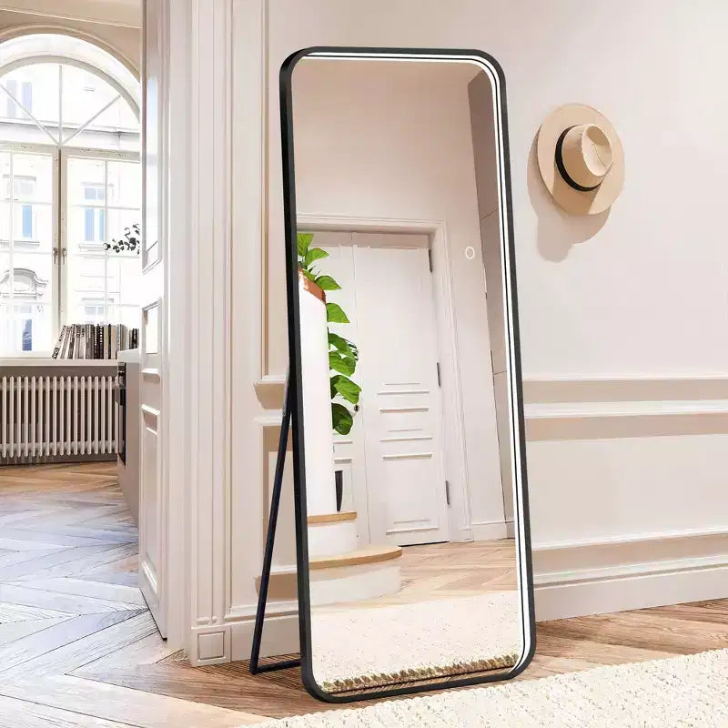Miroir sur pied moderne 64*17in à coins arrondis, Miroir pleine longueur multifonctionnel avec trou de suspension, Miroir mural pour dressing, salon