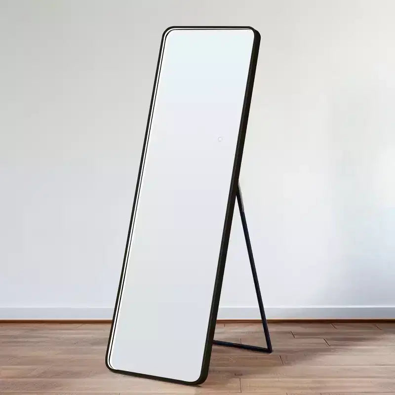 Miroir sur pied moderne 64*17in à coins arrondis, Miroir pleine longueur multifonctionnel avec trou de suspension, Miroir mural pour dressing, salon