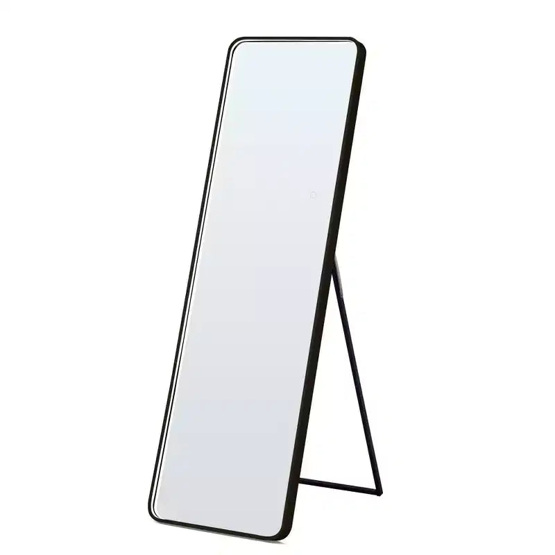 Miroir sur pied moderne 64*17in à coins arrondis, Miroir pleine longueur multifonctionnel avec trou de suspension, Miroir mural pour dressing, salon